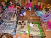 Den dětí se zvířátky